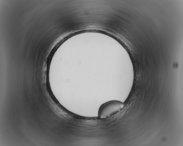 X0000099551126200806061510