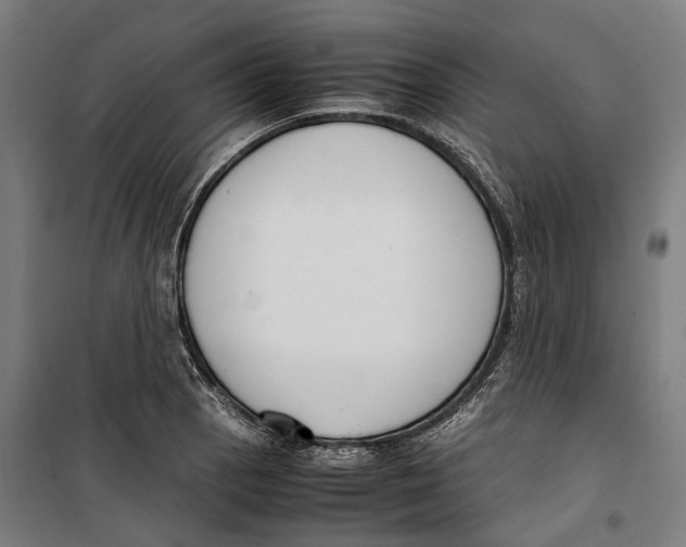 X0000099551129200806061510