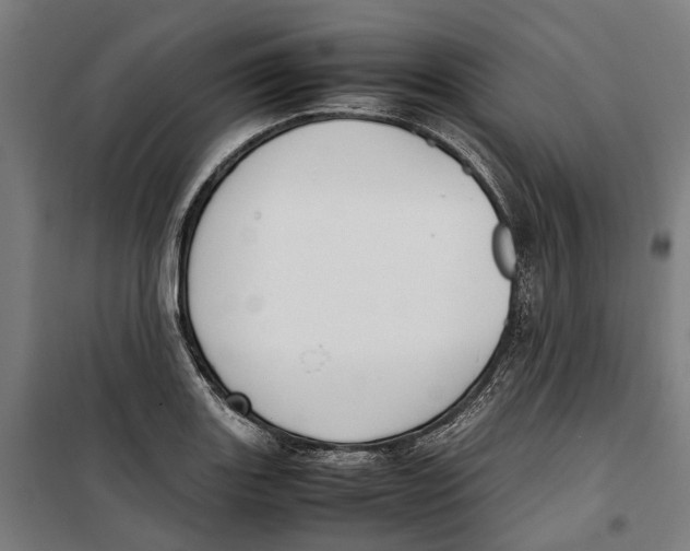 X0000099551131200806061510