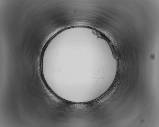 X0000099551134200806061510