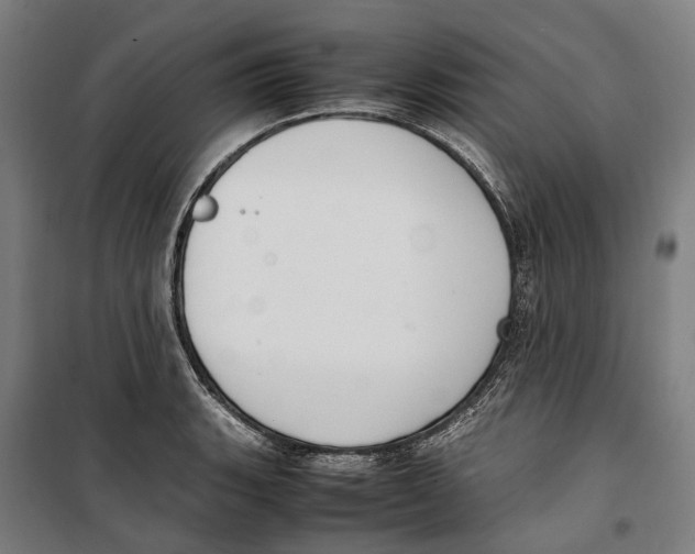 X0000099551135200806061511