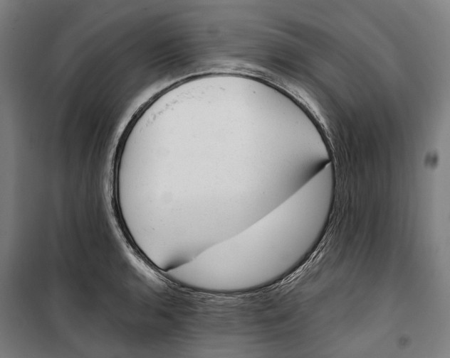 X0000099551136200806061511