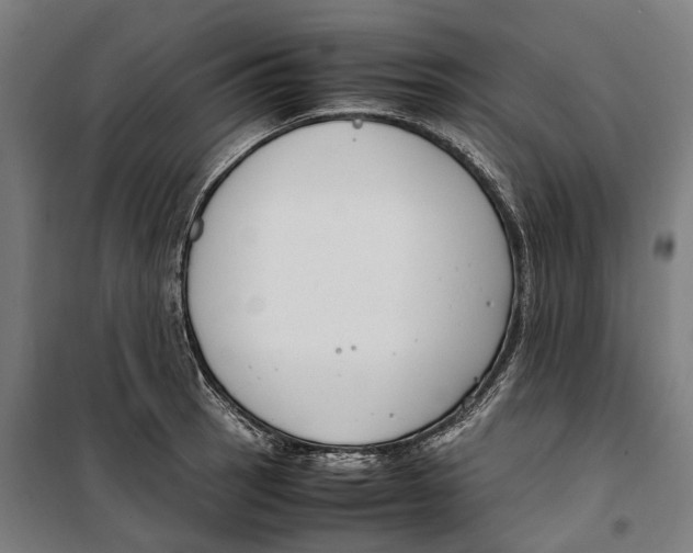 X0000099551137200806061511