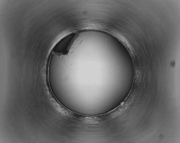 X0000099551138200806061511