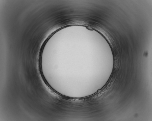 X0000099551139200806061511