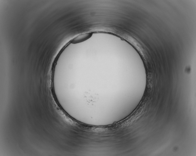 X0000099551140200806061511