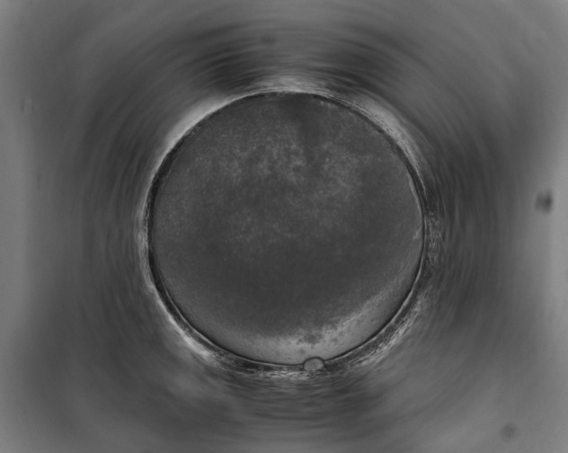 X0000099551141200806061511