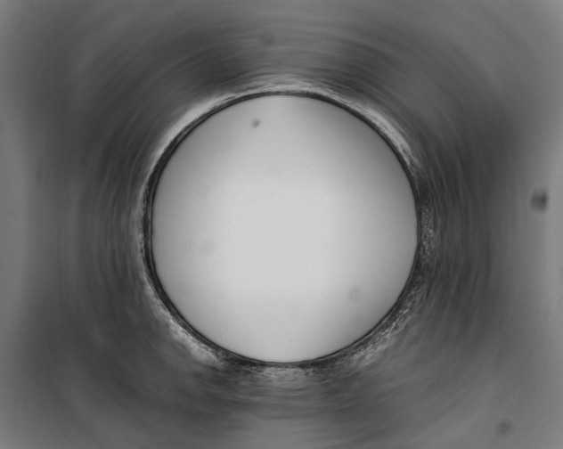 X0000099551142200806061511