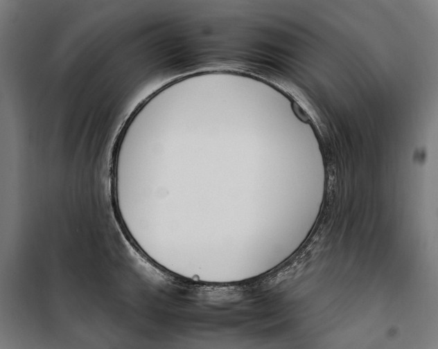 X0000099551143200806061511