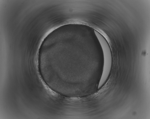 X0000099551144200806061511