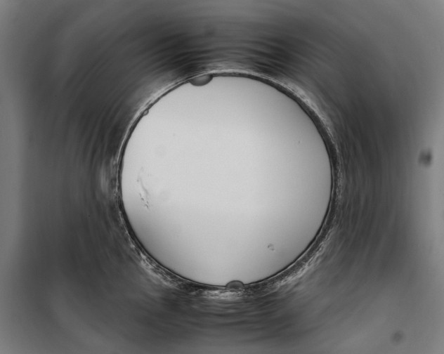 X0000099551145200806061511