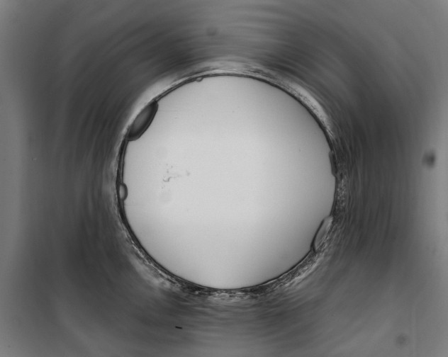 X0000099551146200806061511