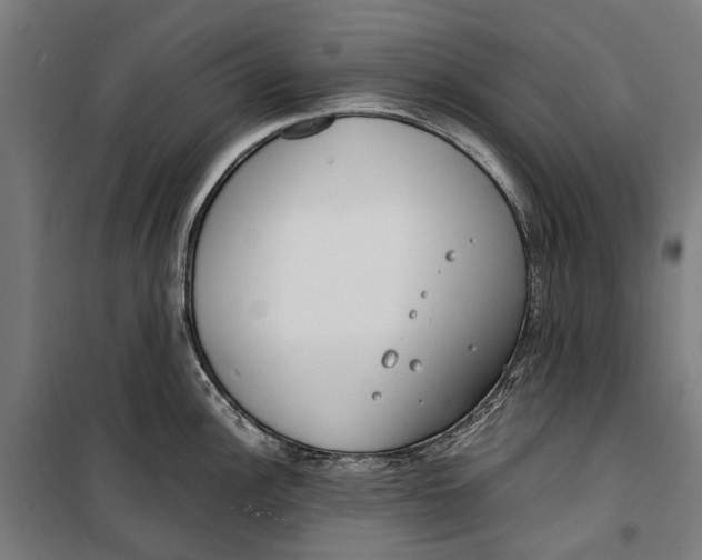 X0000099551148200806061511