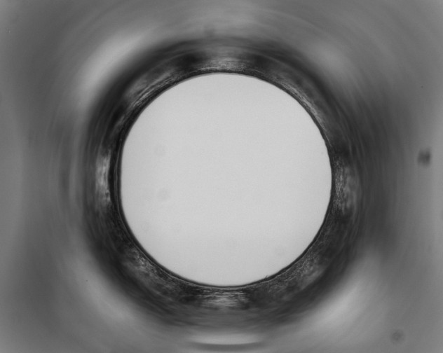 X0000099551150200806061511