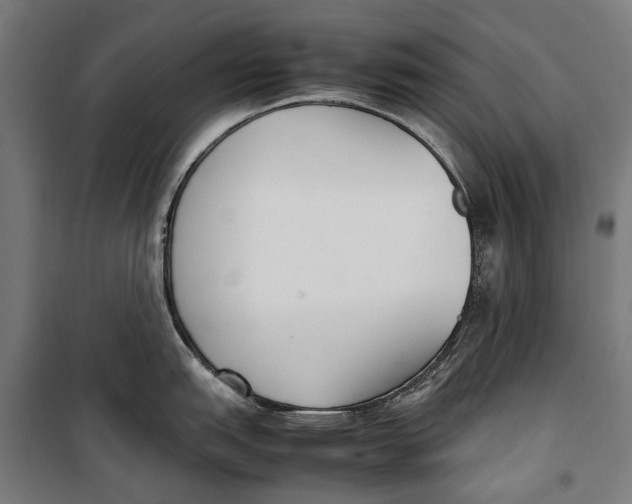 X0000099551151200806061511