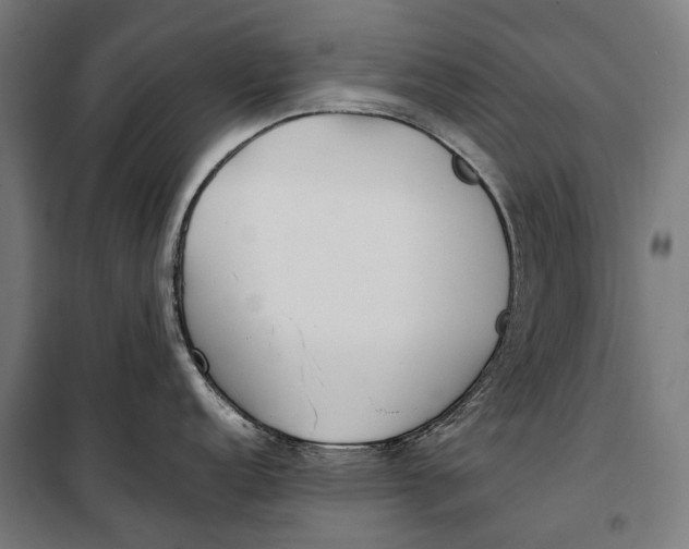 X0000099551152200806061511