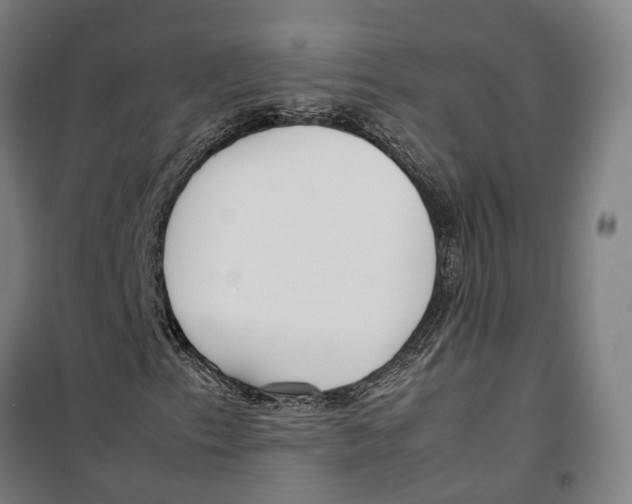 X0000099551153200806061510