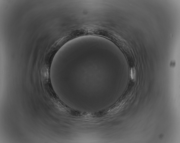 X0000099551155200806061510