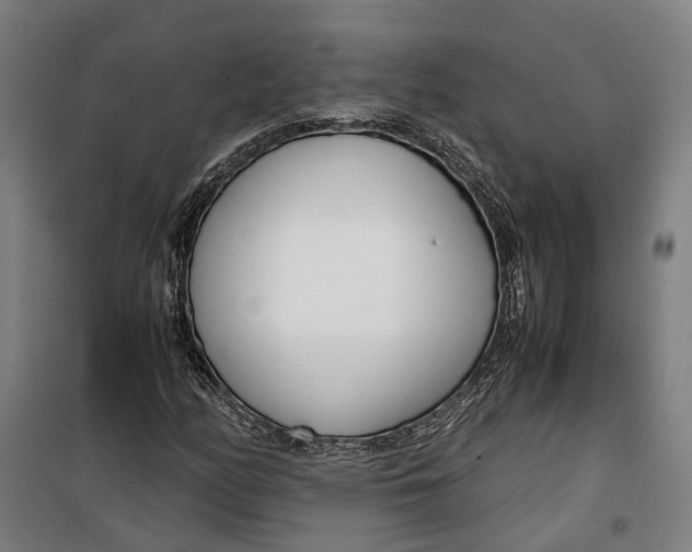 X0000099551158200806061510