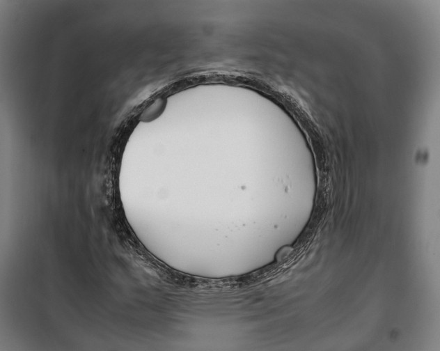 X0000099551159200806061510