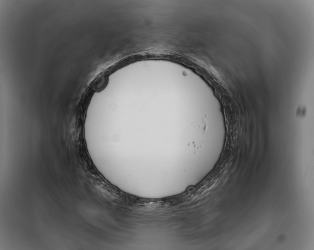 X0000099551160200806061510