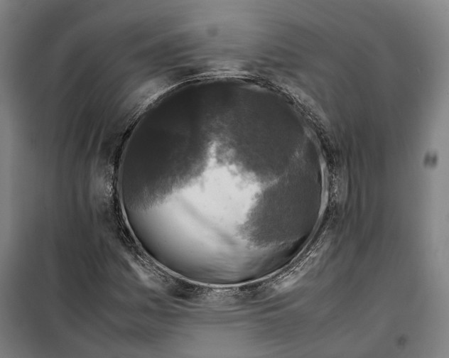 X0000099551161200806061510