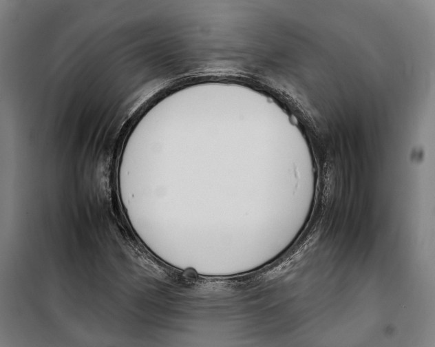 X0000099551162200806061510