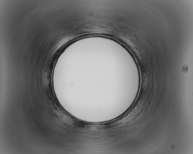 X0000099551163200806061510