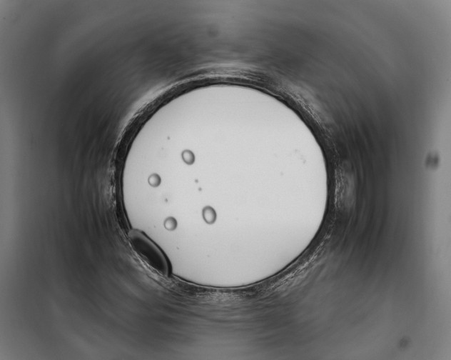 X0000099551164200806061510