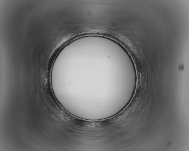 X0000099551165200806061510