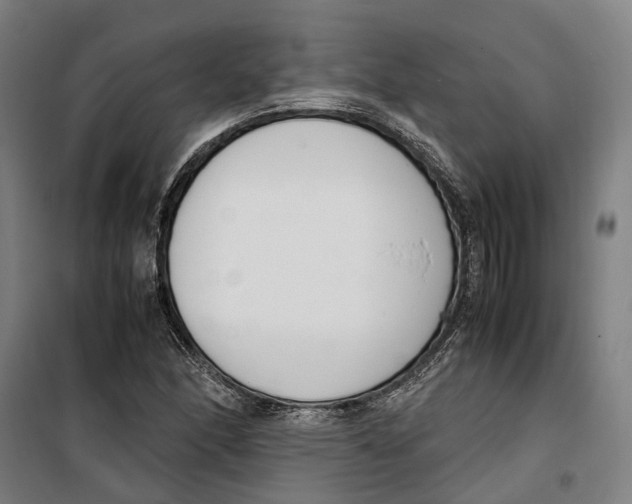 X0000099551166200806061510