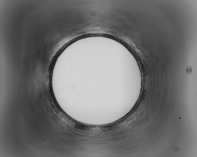 X0000099551167200806061510