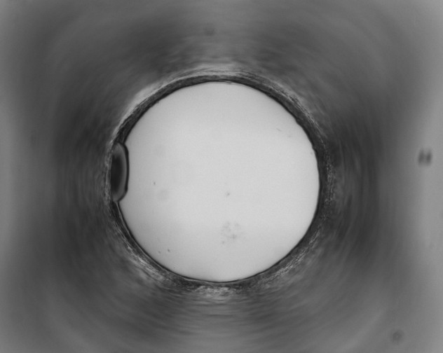 X0000099551168200806061510