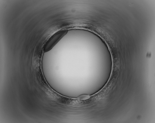 X0000099551169200806061510