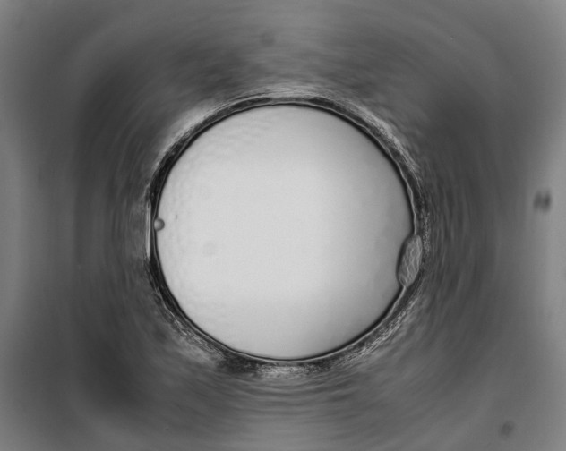 X0000099551171200806061510