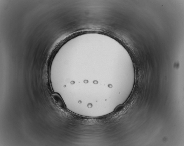 X0000099551172200806061510