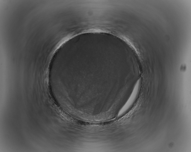 X0000099551173200806061510