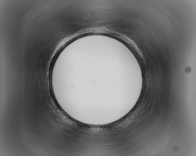 X0000099551176200806061510