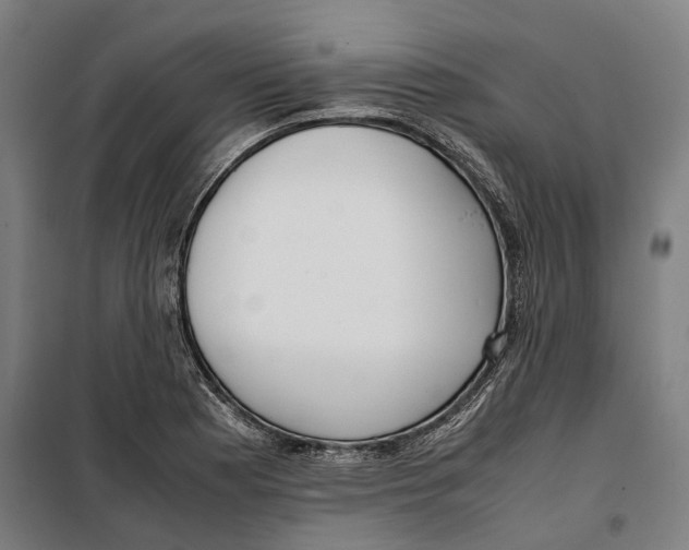 X0000099551177200806061510