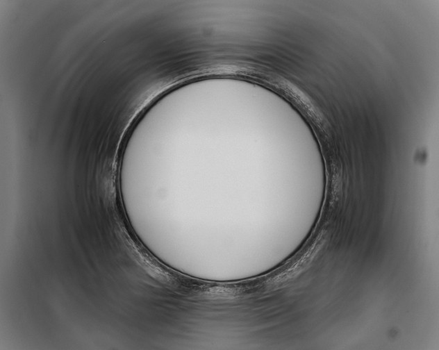 X0000099551178200806061510