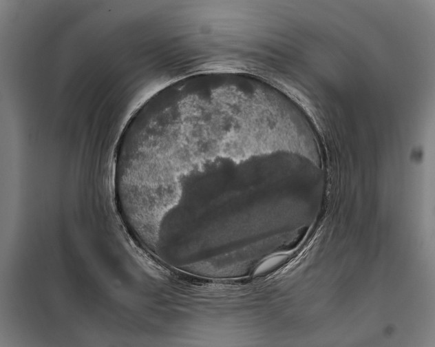 X0000099551179200806061510