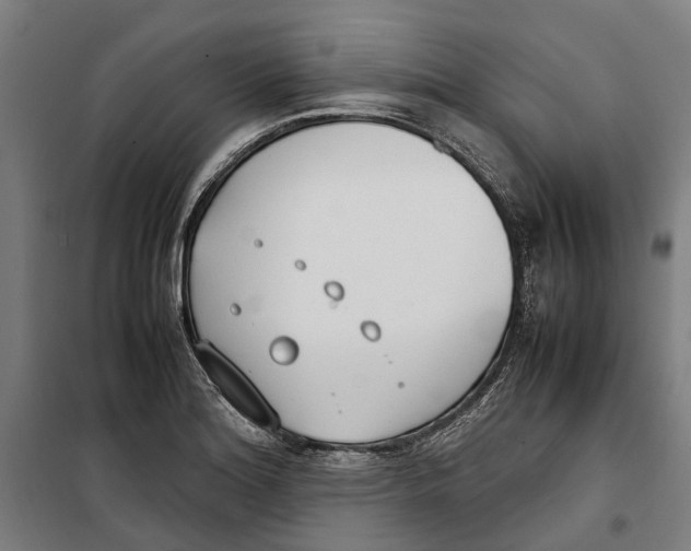 X0000099551180200806061510