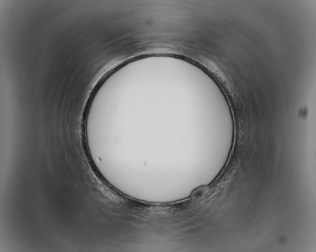 X0000099551181200806061510