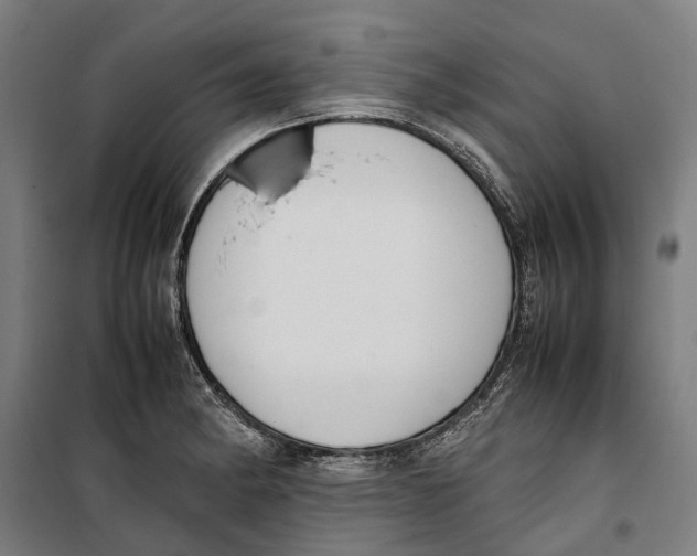 X0000099551182200806061510