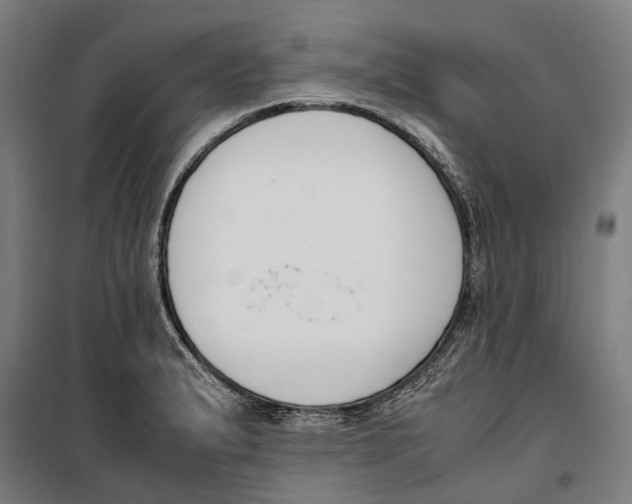 X0000099551183200806061510