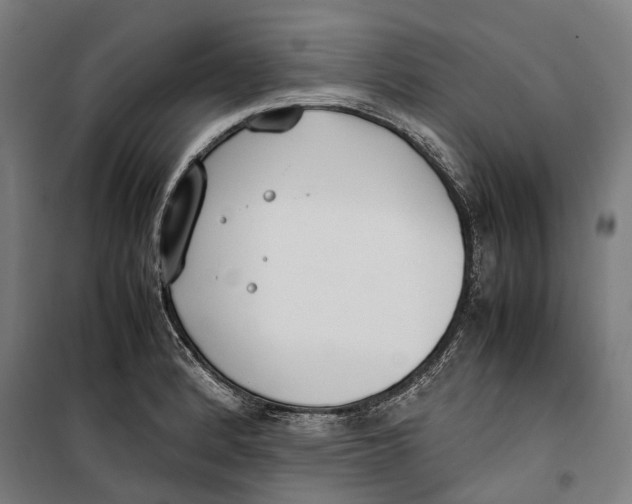 X0000099551184200806061510