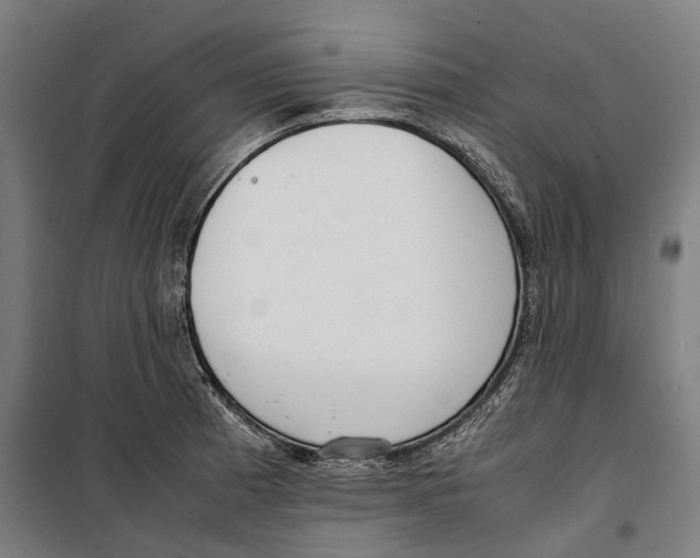 X0000099551185200806061510