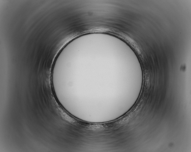 X0000099551186200806061510