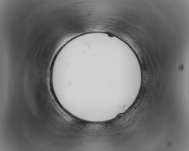 X0000099551187200806061510