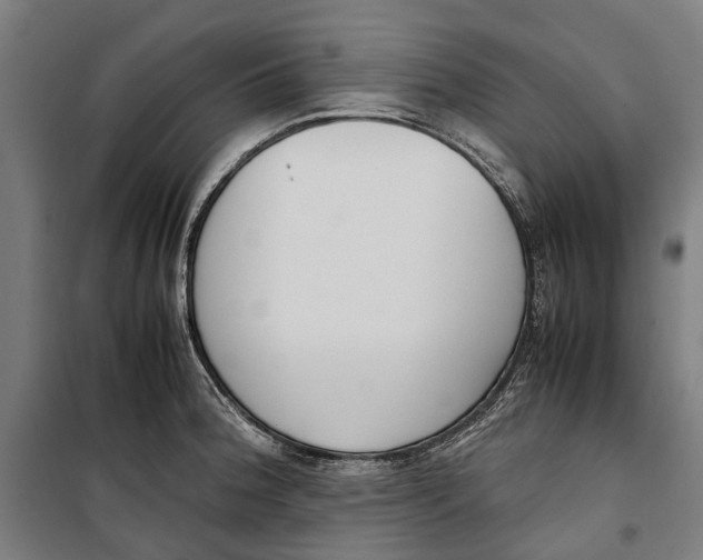 X0000099551188200806061510